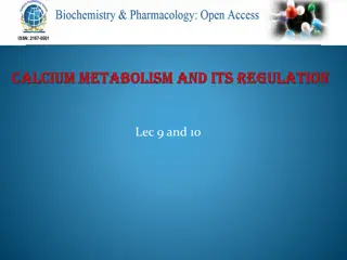 Calcium: Functions, Sources, and Requirements