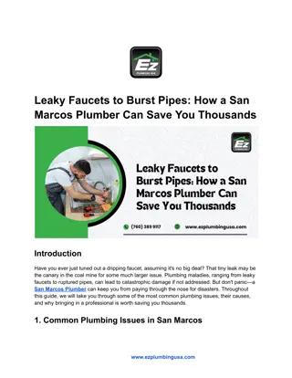 Leaky Faucets to Burst Pipes_ How a San Marcos Plumber Can Save You Thousands