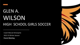 Glen A. Wilson High School Girls Soccer Program Overview