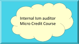 Internal Ism auditor