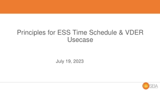 Principles for ESS Time Schedule & VDER Usecase.