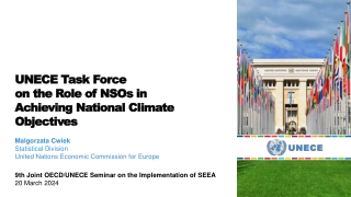 Development of Guidance on the Role of NSOs in Achieving National Climate Objectives