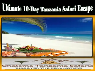 Ultimate 10-Day Tanzania Safari Escape