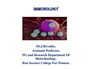 Function of Lymphoid Organs in the Immune System
