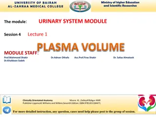 Fluid Compartments and Renal Sodium Handling in the Urinary System