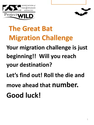 The Great Bat Migration Challenge