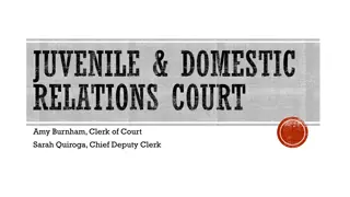 Juvenile and Domestic Relations Court Information Guide