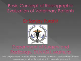 Radiographic Evaluation of Veterinary Patients: Understanding Key Concepts
