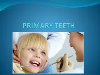 Primary Teeth: Names, Eruption Dates & Functions