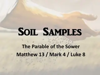Parable of the Sower: Understanding the Four Types of Soil