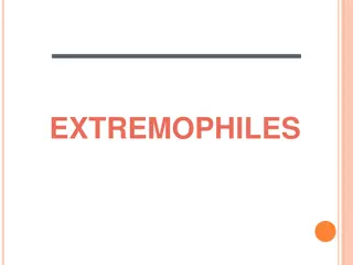 Extremophiles and Their Survival Mechanisms