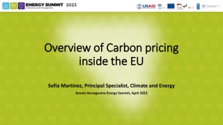 Carbon Pricing Overview and EU Green Deal Agenda