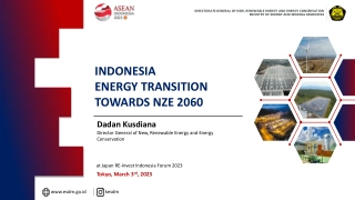 Energy Transition and NRE Potential in Indonesia's Path to NZE 2060