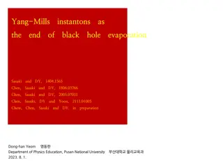Exploring Euclidean Path-Integral Approach in Black Hole Information Theory