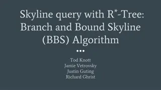 Introduction to Branch and Bound Skyline Algorithm