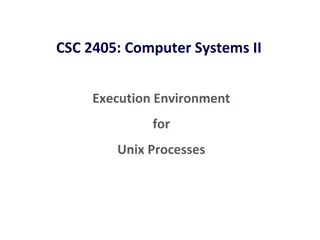 UNIX Process Execution Environment in Computer Systems II