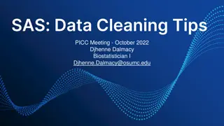 Effective SAS Data Cleaning Strategies
