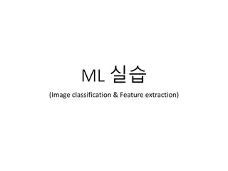 Image Classification Techniques for ML Projects