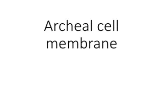 Unique Characteristics of Archeal Cell Membranes
