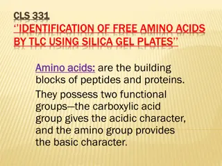 Identification of Free Amino Acids by TLC Using Silica Gel Plates