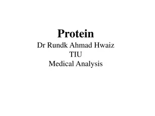 Importance of Proteins in Cell Functions