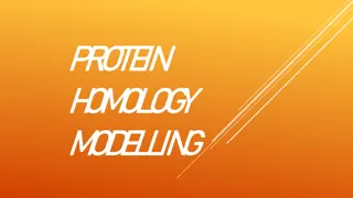 Protein Homology Modelling and Structural Genomics