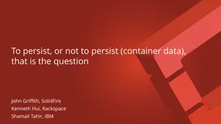 Container Persistence in Modern IT Infrastructure