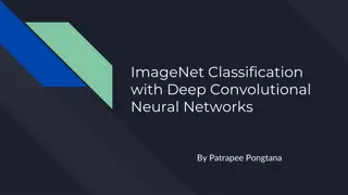 Achieving Fast and Robust ImageNet Classification with Deep CNNs