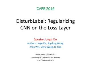 DisturbLabel Algorithm for CNN Regularization