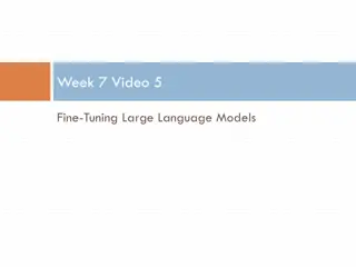 Fine-Tuning of Large Language Models