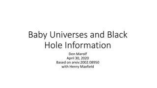 Black Hole Information Using Gravitational Path Integral
