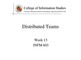 Strategic Choices and Challenges in Distributed Teams