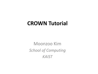 CROWN Tutorial by Moonzoo Kim at KAIST