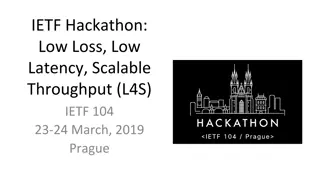 IETF Hackathon: Low Loss, Low Latency, Scalable Throughput Project