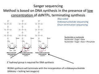 DNA Sequencing Method and Principles