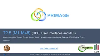 Advanced User Interfaces and APIs for High-Performance Computing