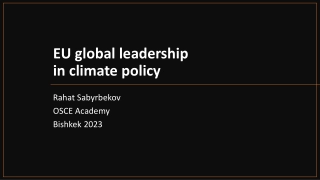 EU Global Leadership in Climate Policy - Assessment and Analysis