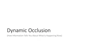 Dynamic Occlusion in Visual Perception