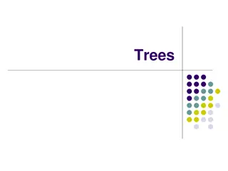 Binary Trees: Definitions, Properties, and Terminology
