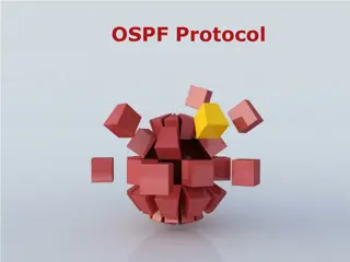 OSPF Protocol: Key Concepts and Routing Tables