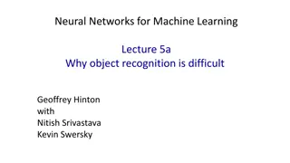 Challenges in Object Recognition with Neural Networks