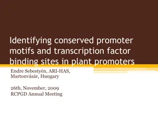 Identification of Conserved Promoter Motifs and Transcription Factor Binding Sites in Plant Promoters