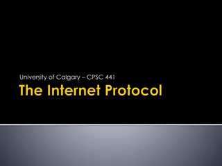 IP Protocol in Networking