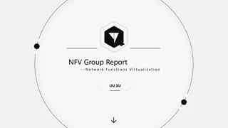 Virtual Network Functions in NFV Group Report