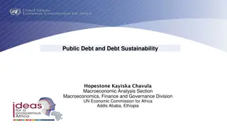 Global Public Debt Trends and Debt Sustainability