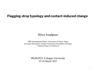 Flagging Drop Typology and Contact-Induced Change in Language Structures