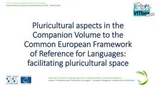 Facilitating Pluricultural Spaces for Intercultural Competence and Innovation