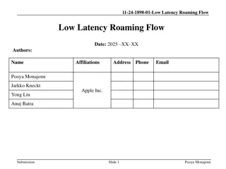 Low Latency Roaming Flow Mechanisms