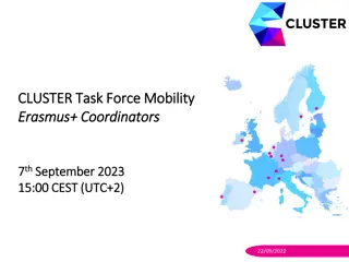 Effective Strategies for Organizing International Mobility Programmes