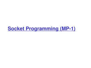Socket Programming and TCP Communication